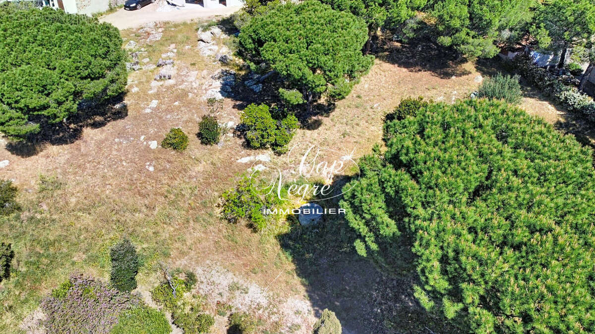 Terrain à BORMES-LES-MIMOSAS