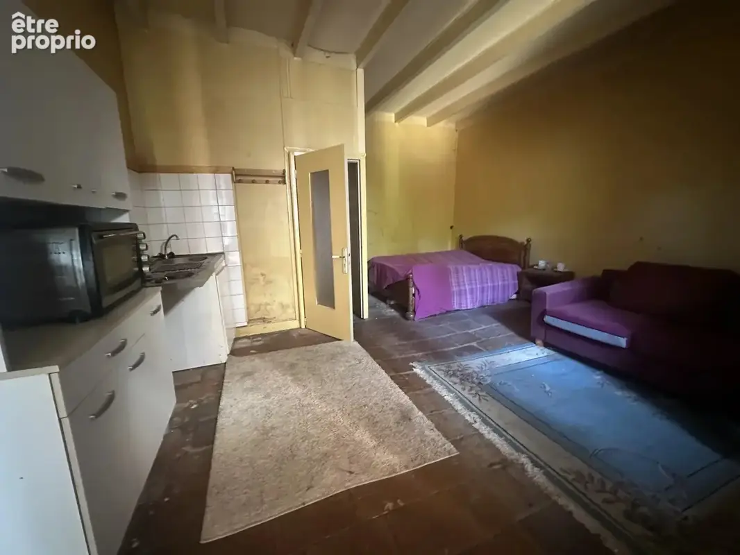 Maison + studio + T3 avec cours - photo 7