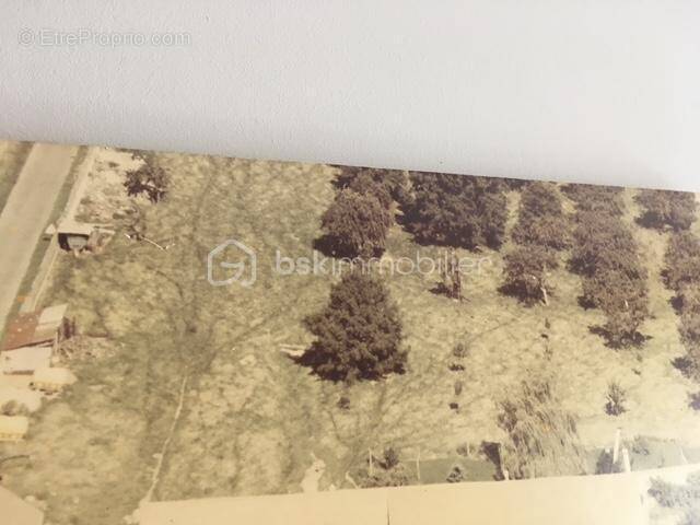 Terrain à WAVIGNIES