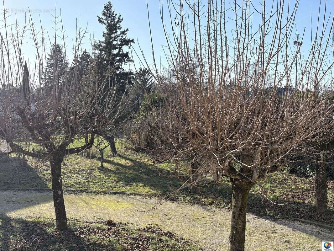 Maison à SAINT-LAURENT-DE-MURE