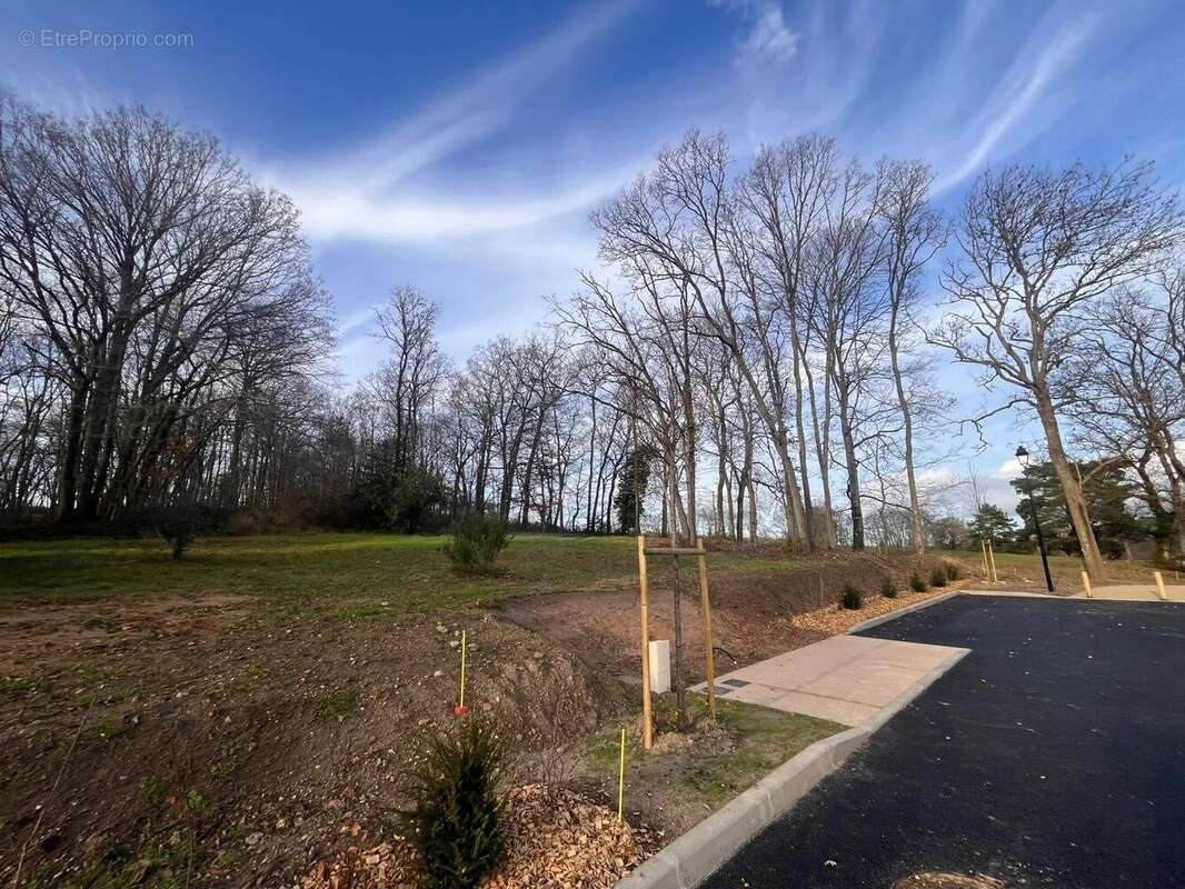Terrain à HERMERAY