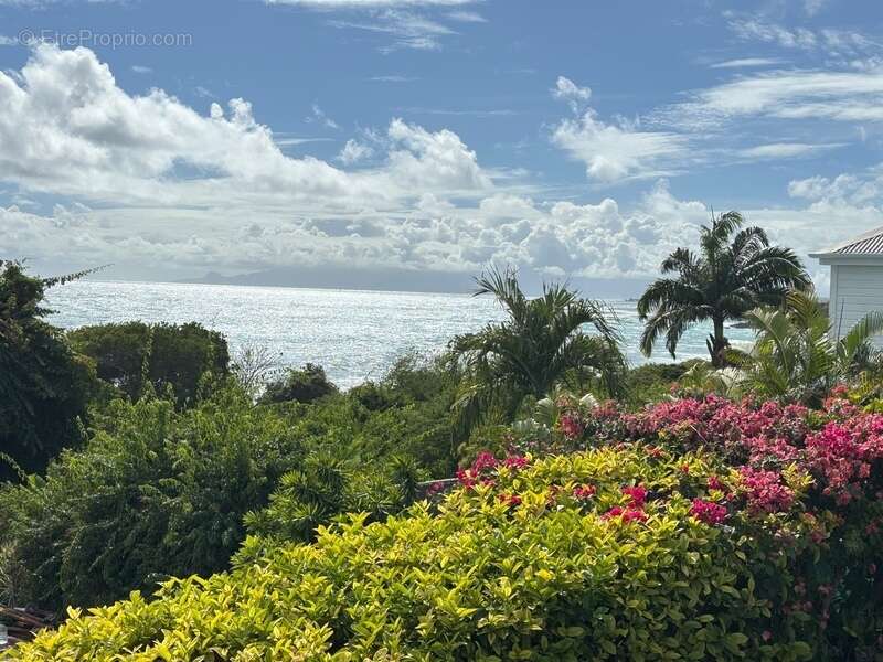 Maison à SAINTE-ANNE