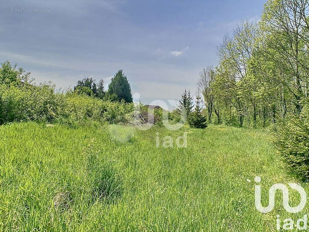 Photo 3 - Terrain à PLEURS