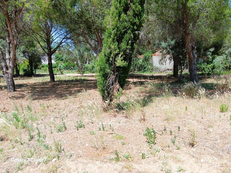 Terrain à PERPIGNAN
