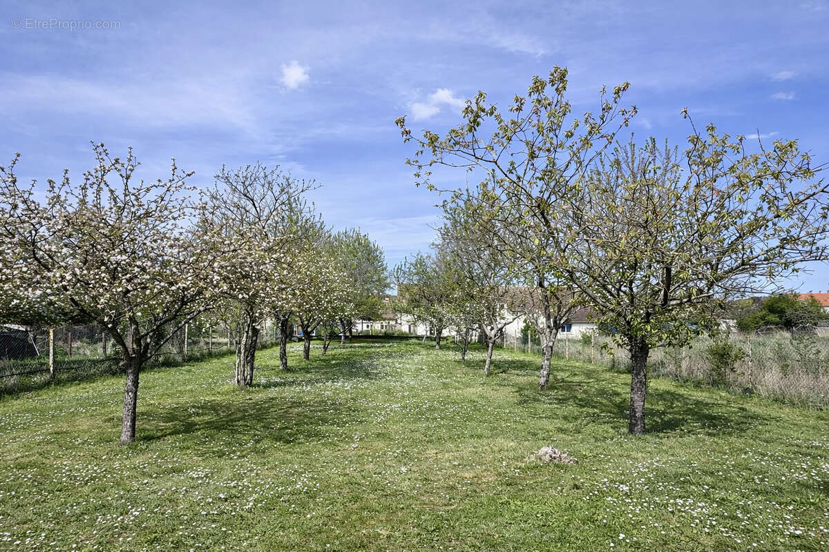 Maison à SENLIS