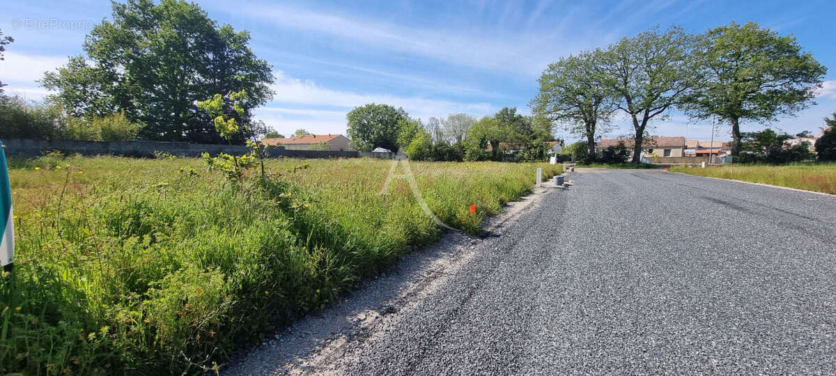 Terrain à COMMEQUIERS
