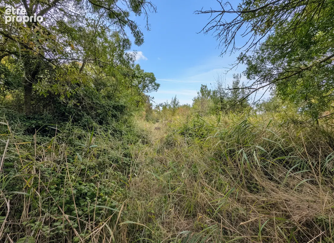 Photo Terrain à Narbonne au prix de 9 000€