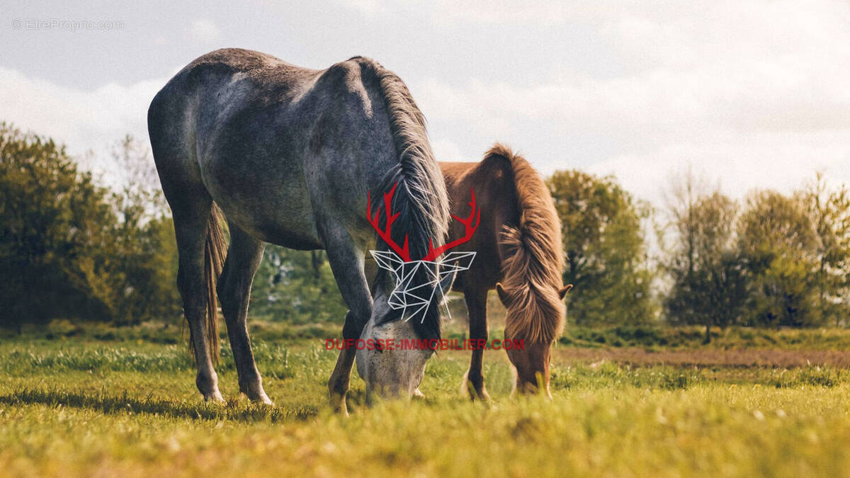 Terrain à LA TESTE-DE-BUCH