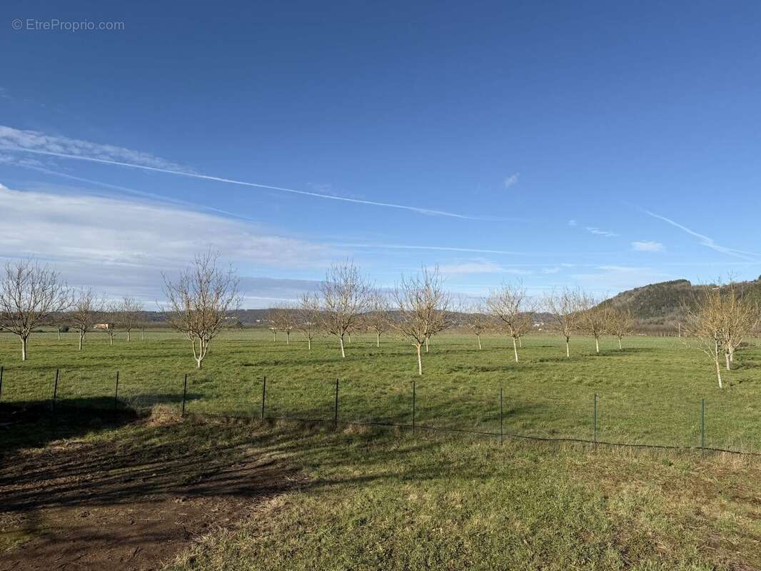 IMG7238 - Maison à BEYNAC-ET-CAZENAC