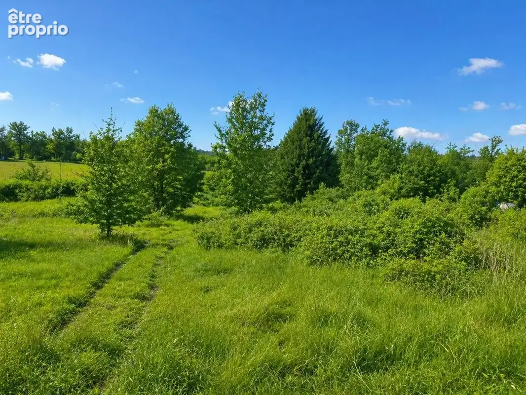 Terrain à SAINT-VINCENT-JALMOUTIERS