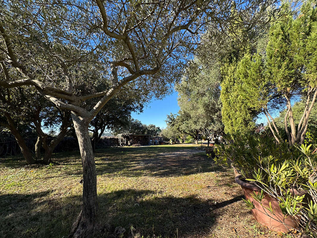 Maison à BALARUC-LE-VIEUX