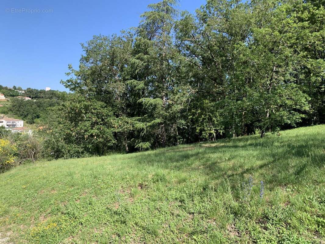 Terrain à ALBI