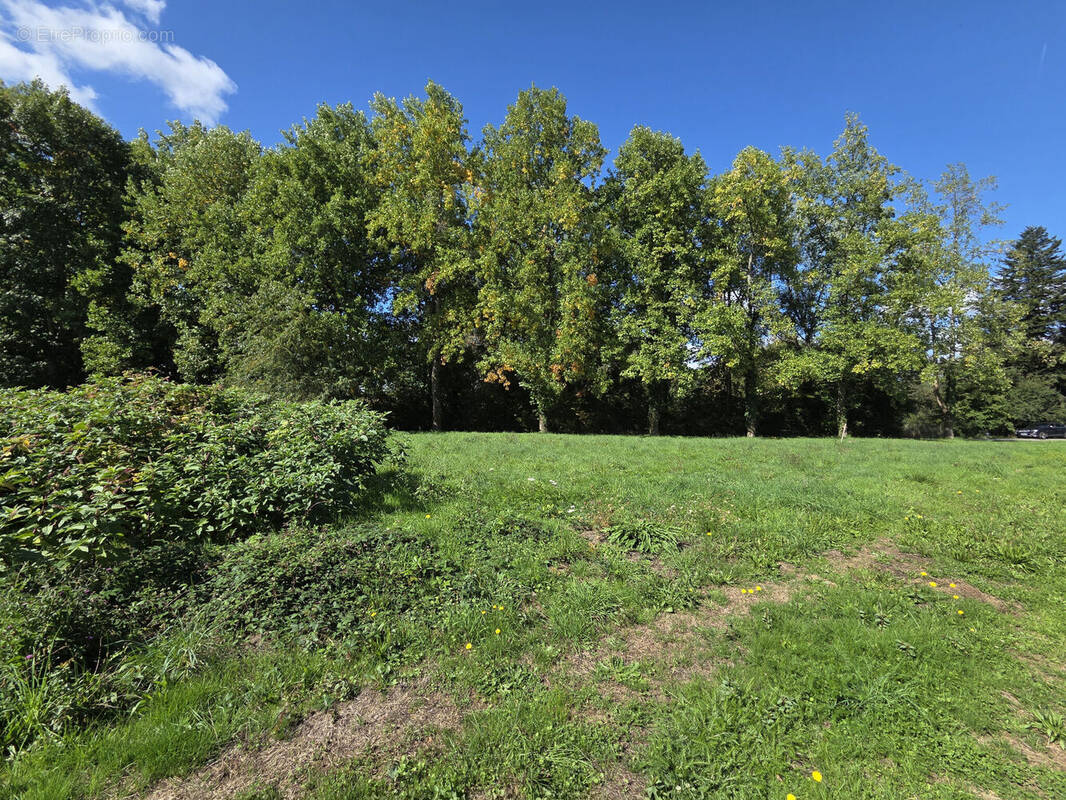 Photo 1 - Terrain à PANAZOL