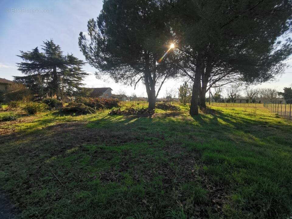Terrain à SAINT-MAIXANT