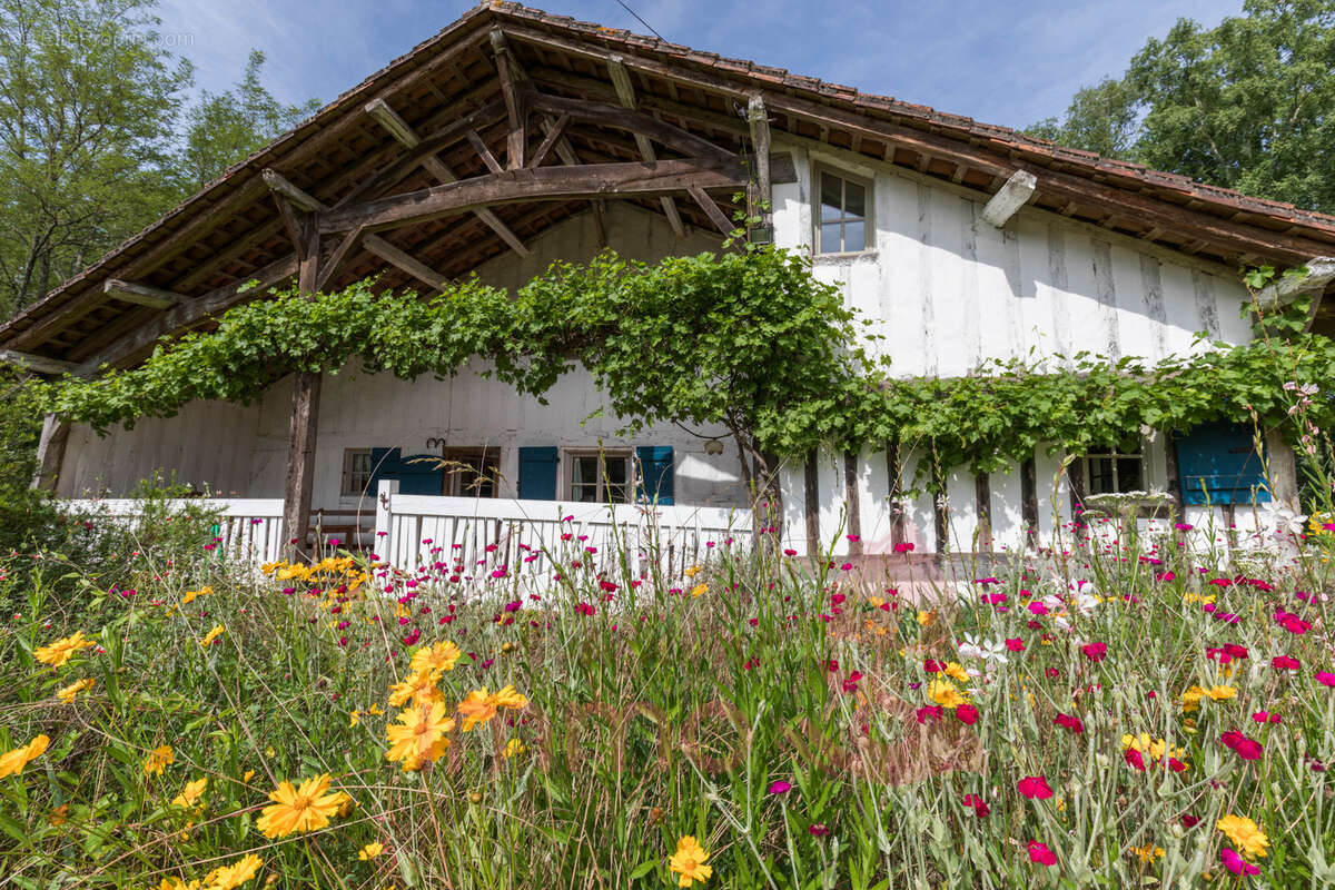 Maison à LE SEN