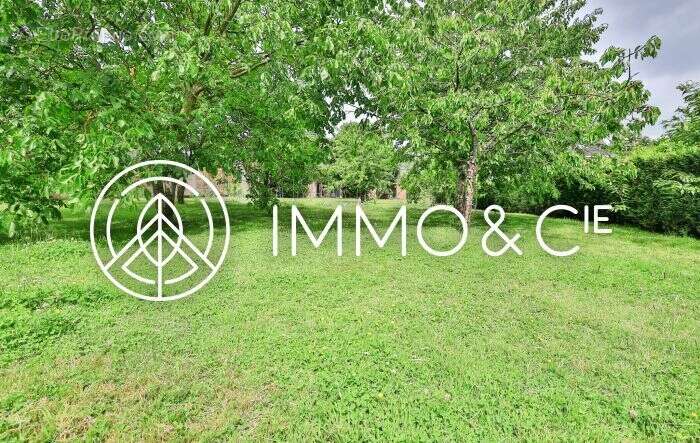 Maison à PERENCHIES