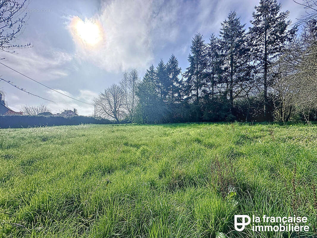 Terrain à LA COUYERE