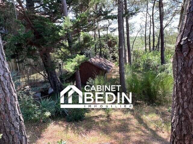 Maison 62 m² à Lege-Cap-Ferret  - photo 4