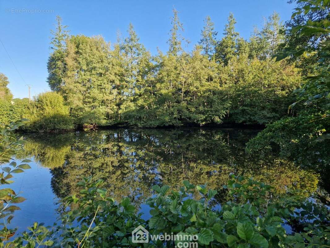 Terrain à NIEUL-LE-DOLENT