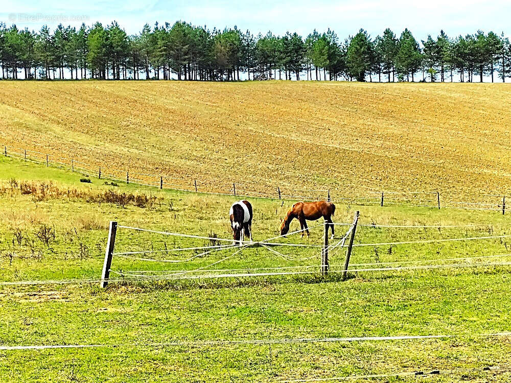 Autre à MARGOUET-MEYMES