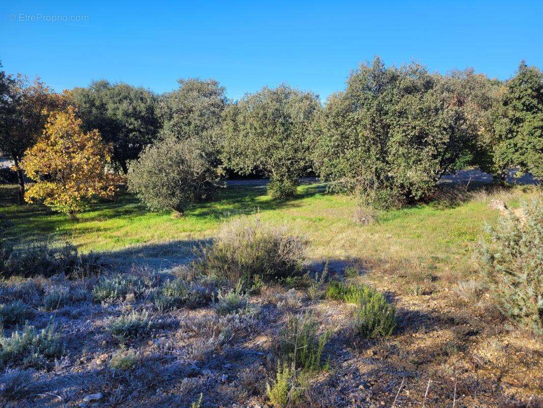 Terrain à VINON-SUR-VERDON