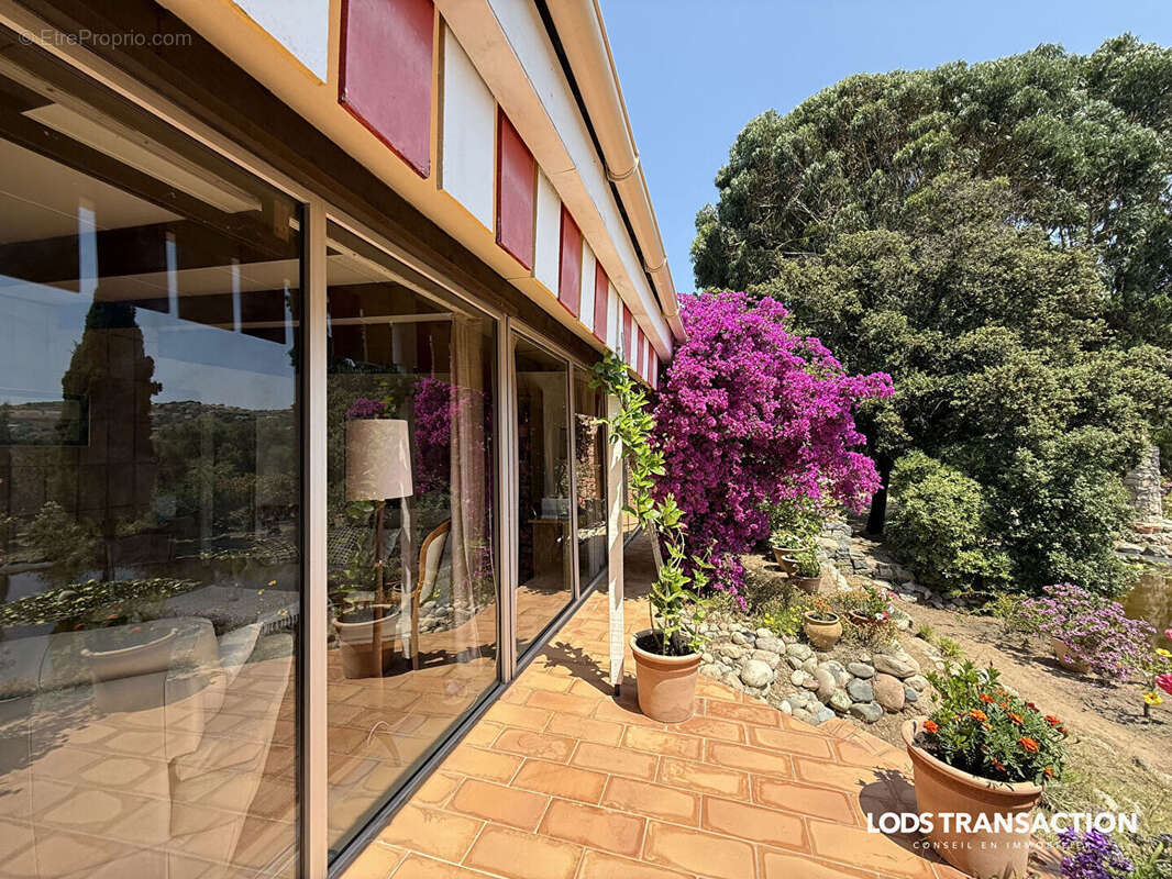 Maison 370 m² à Cargese  - photo 6