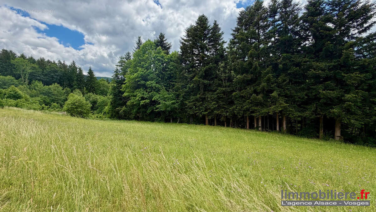 Terrain à BAN-DE-LAVELINE