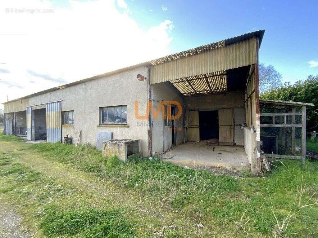 Maison idéale pour famille rêvant d'espace ! Prix Négociable ! - photo 24