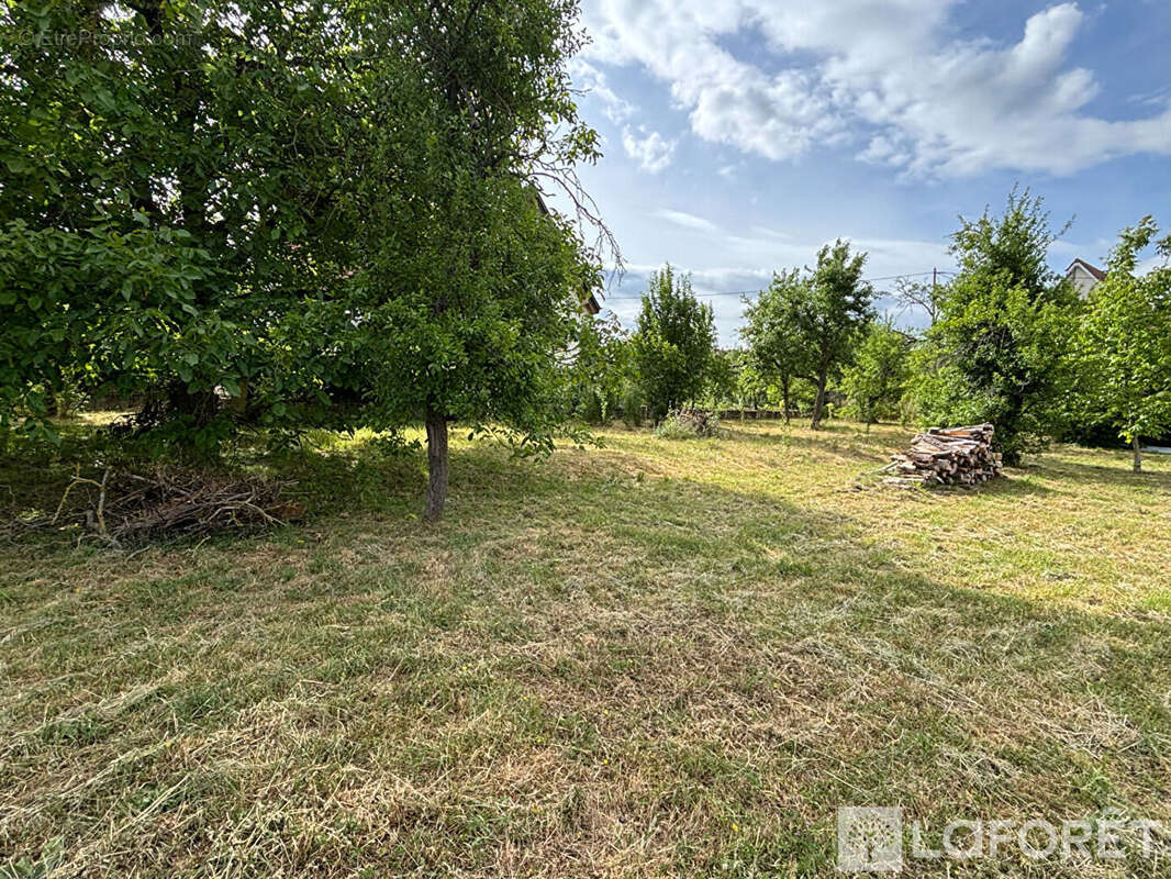 Terrain à BERNARDSWILLER