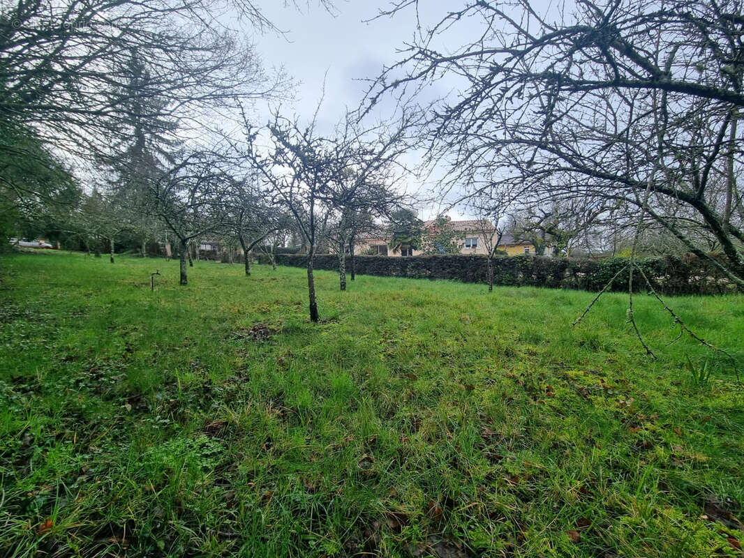 Terrain à SAINT-BENOIT