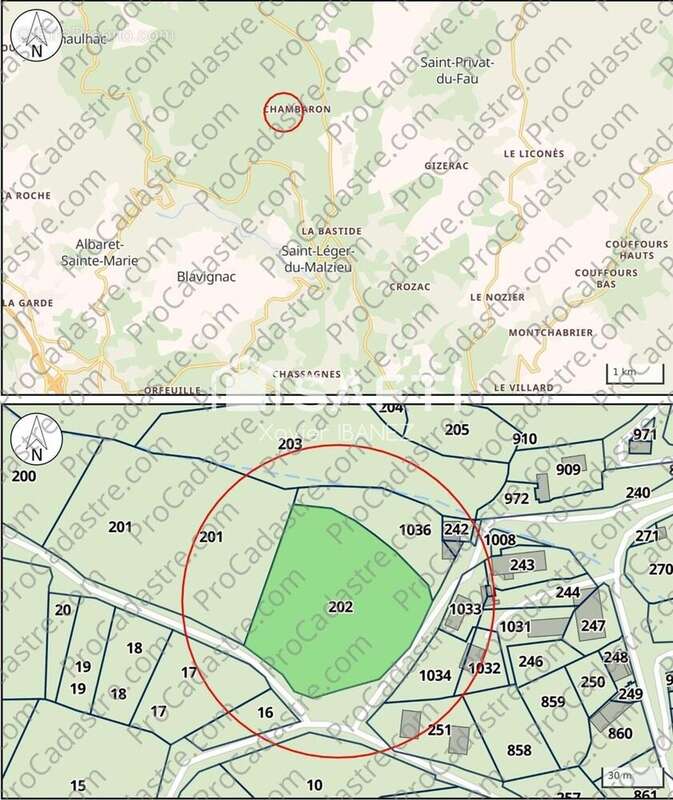 Photo 9 - Terrain à SAINT-LEGER-DU-MALZIEU