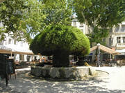 Terrain à SALON-DE-PROVENCE