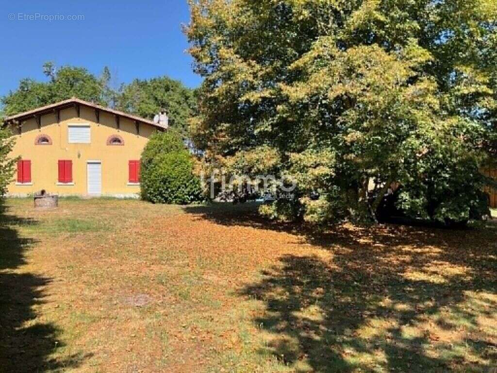 Maison landaise avec piscine, dépendance et terrain - photo 5