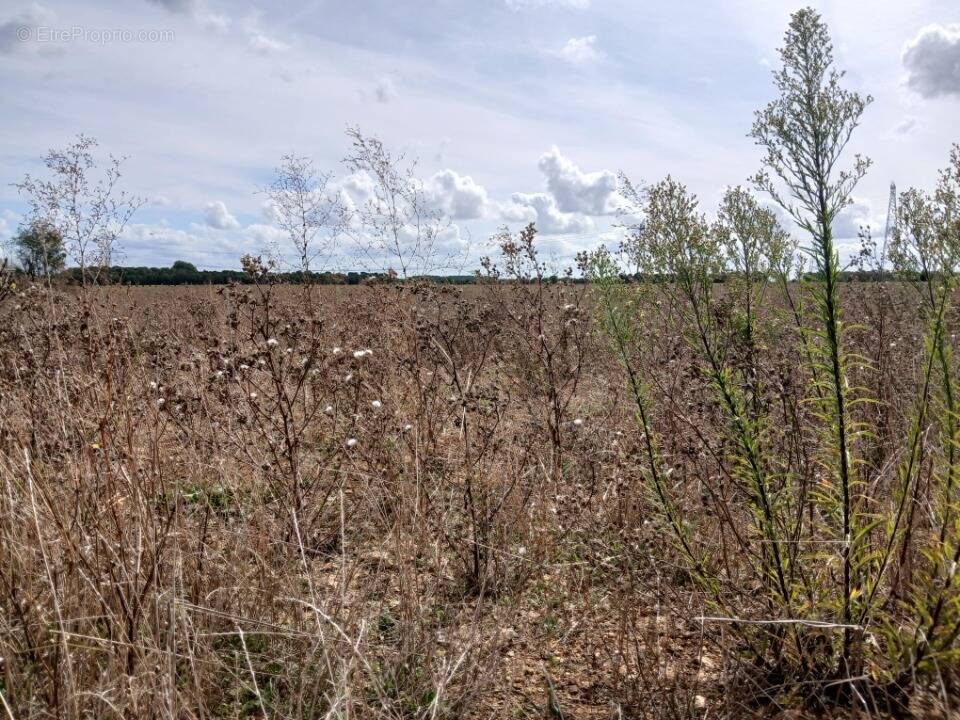 Terrain à FRENOUVILLE