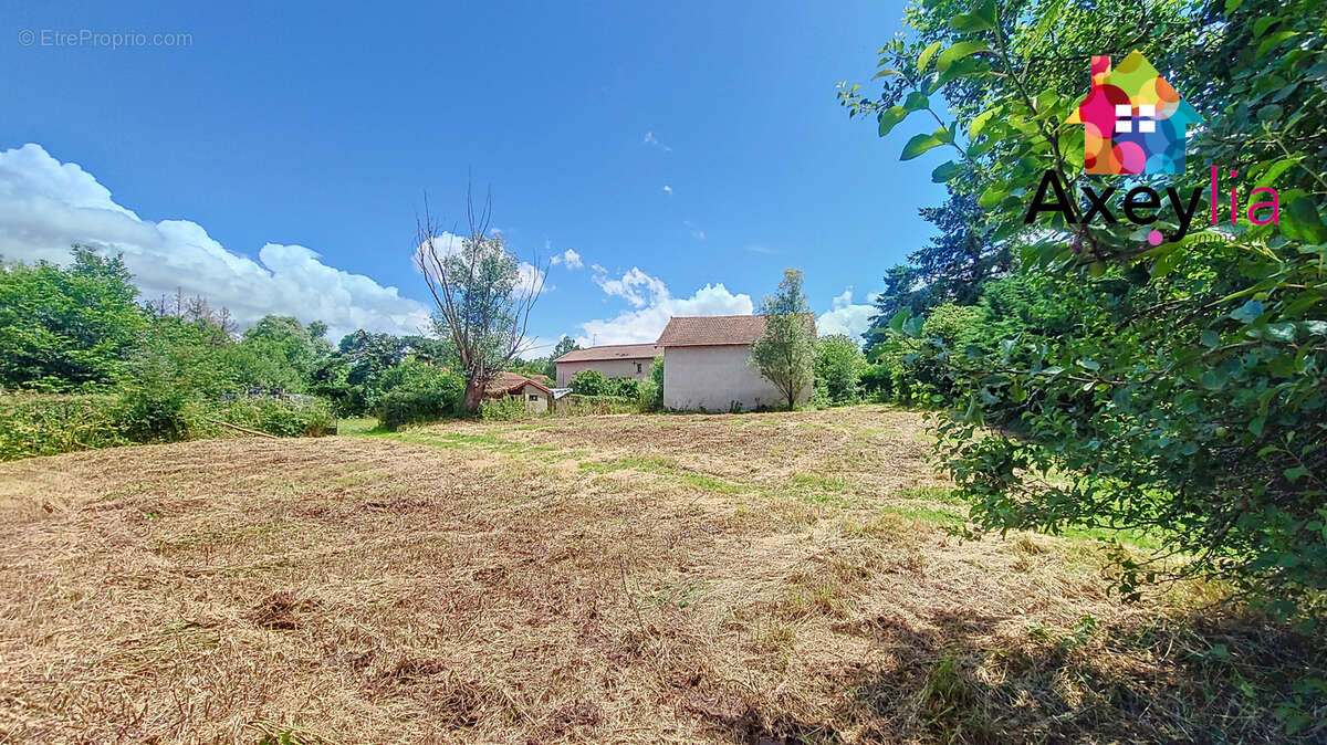 Terrain à SAINT-ROMAIN-LA-MOTTE