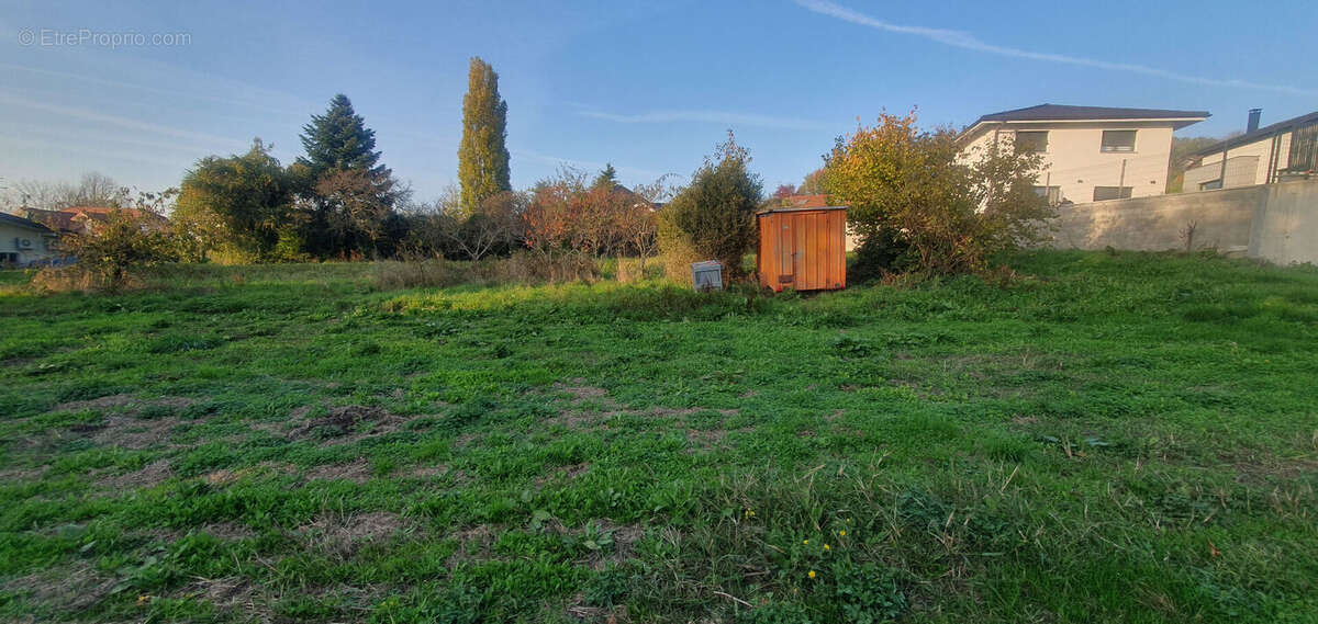 Terrain à CRANVES-SALES