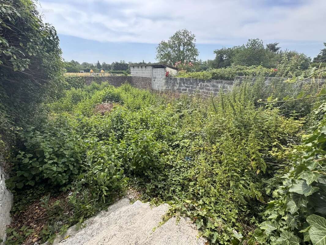 Maison semi individuelle - photo 10