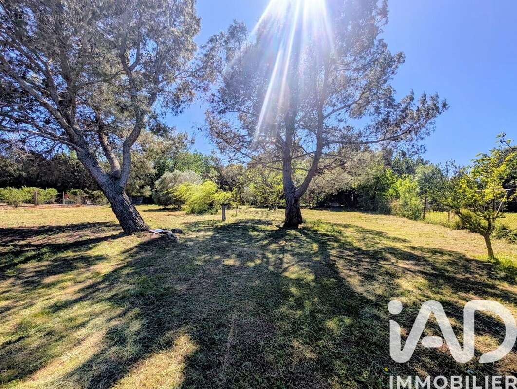 Photo 1 - Terrain à LE SOLER