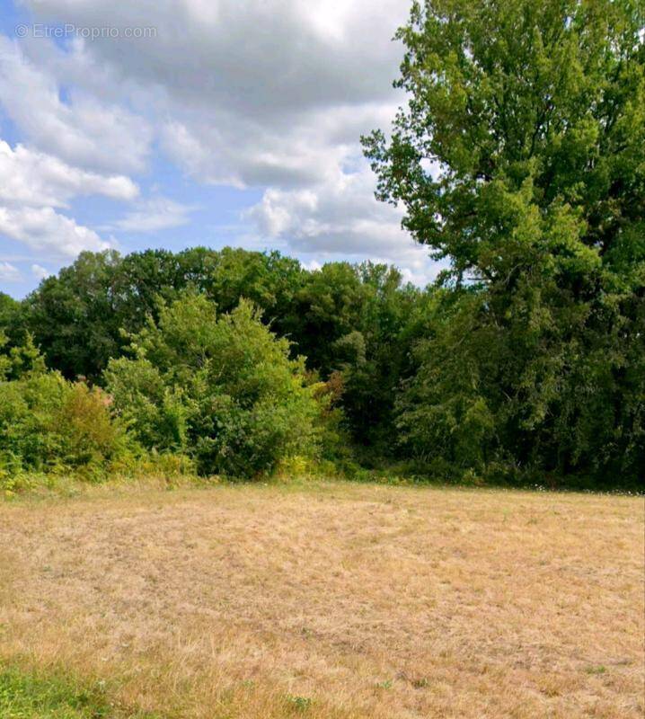 Terrain à SAINT-AMAND-DE-COLY
