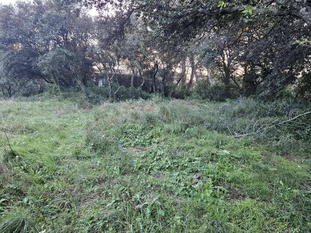 Terrain à CHATEAURENARD