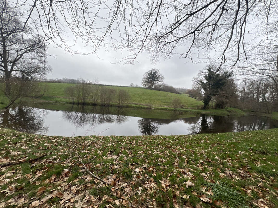 Etang de 4000 m2 sur une parcelle de 5 733 m2 ! - photo 3