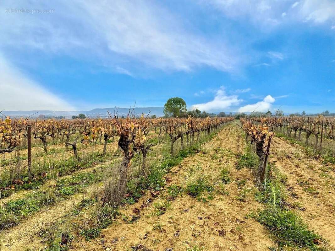 Terrain à SAINT-COME-ET-MARUEJOLS