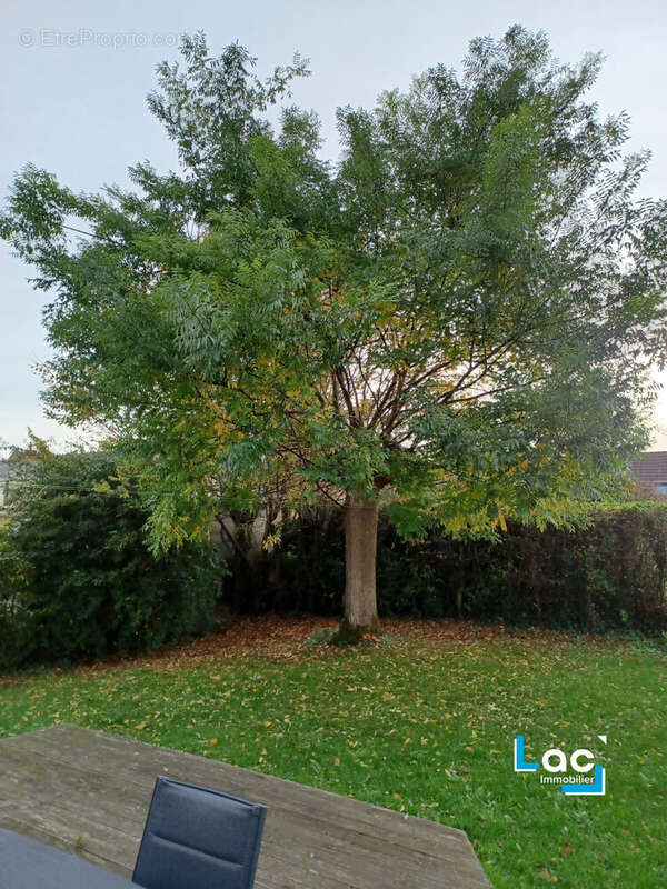 Maison à FOREST-SUR-MARQUE