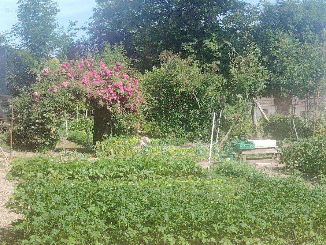 Corps de ferme avec fort potentiel ! - photo 9