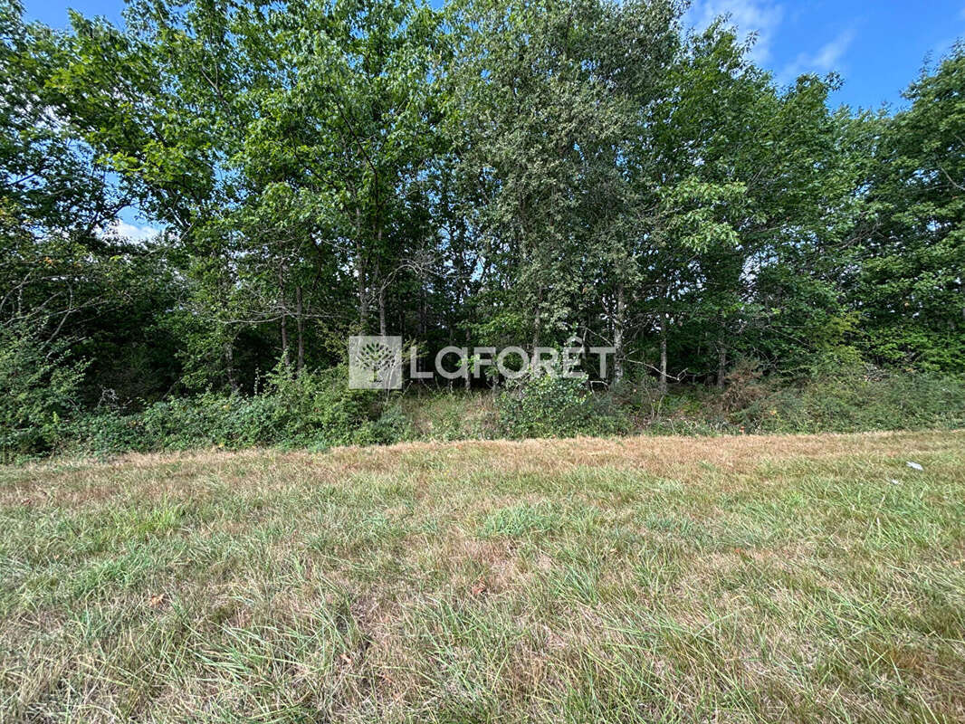 Terrain à VACQUIERS