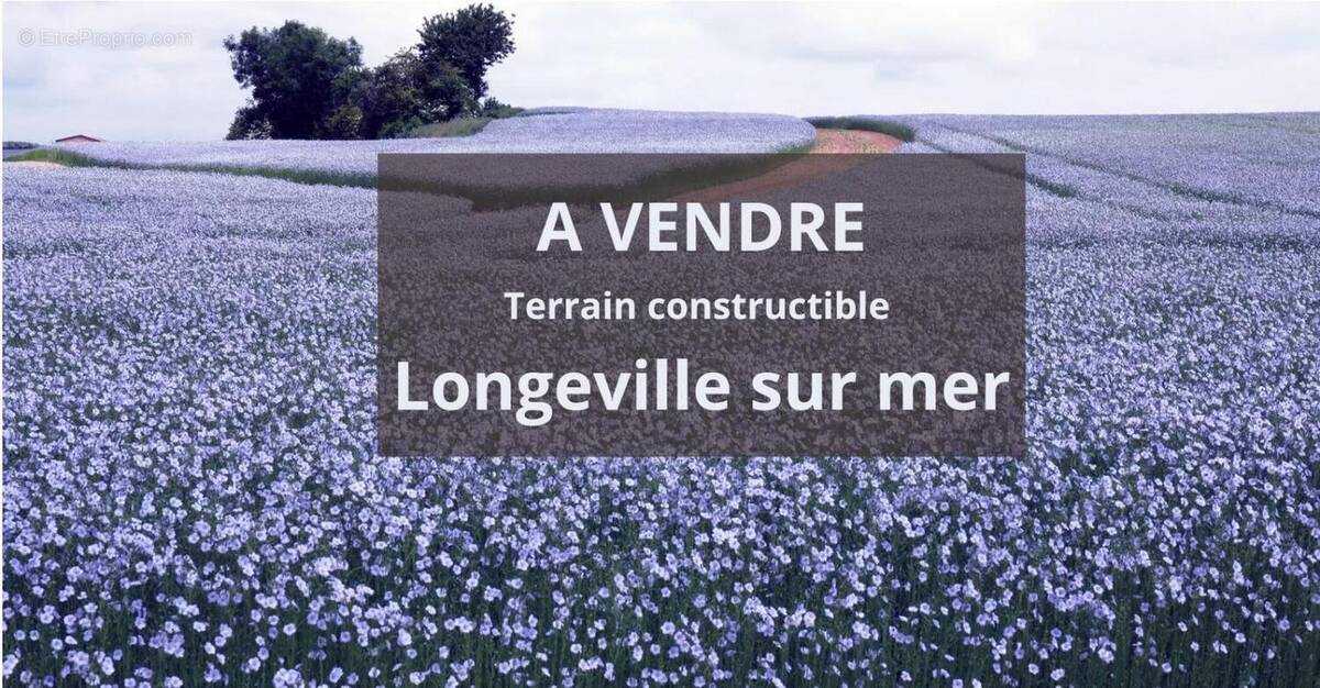 Terrain à LONGEVILLE-SUR-MER