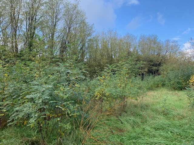 Terrain à SAINT-THOMAS-DE-CONAC