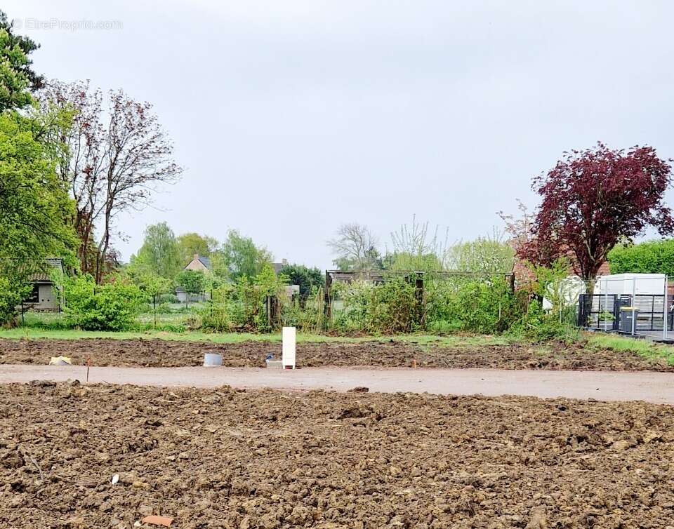 Terrain à LILLE