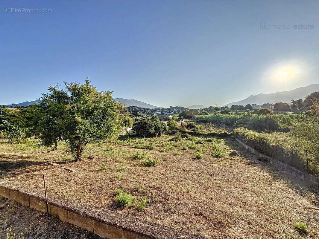 Corse du sud - Ajaccio - Sarrola-Carcopino - Maison - Grand terrain - photo 3