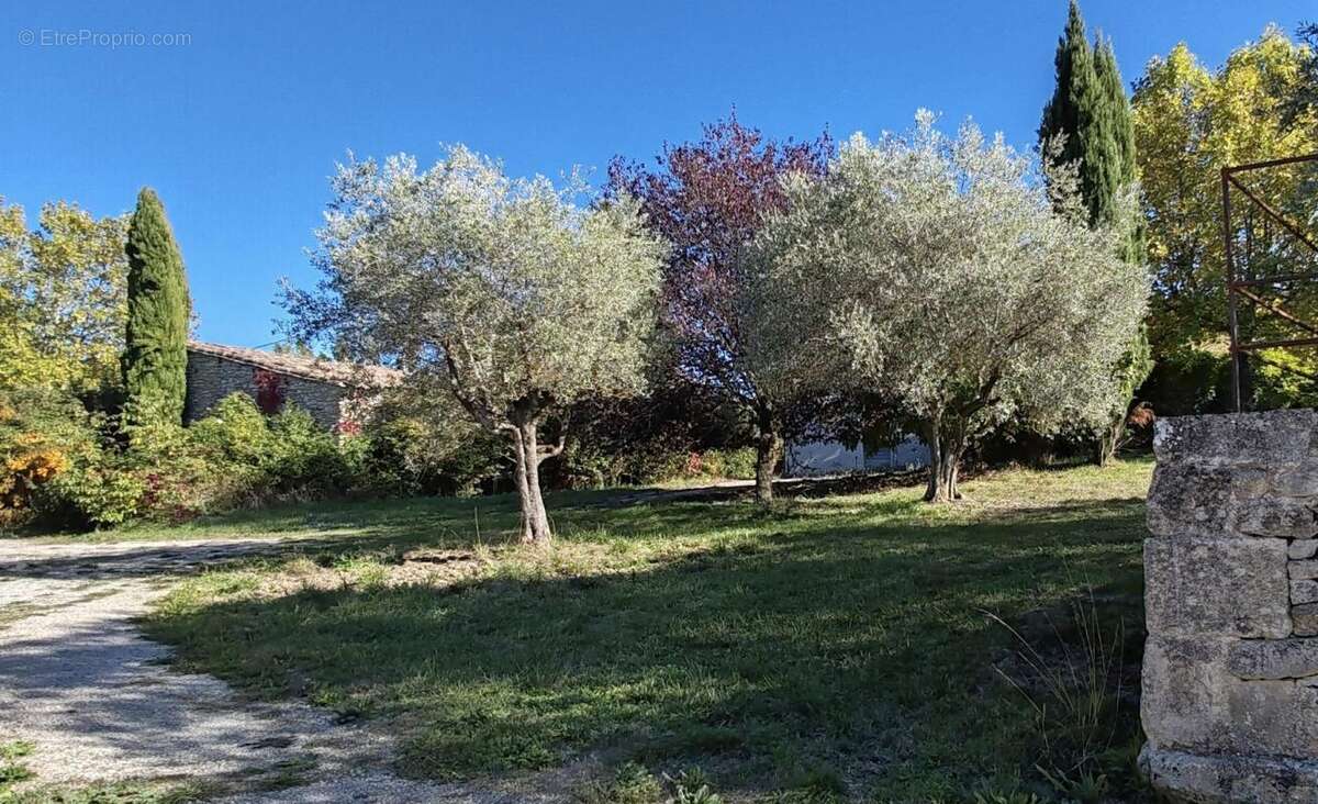 Maison à FORCALQUIER